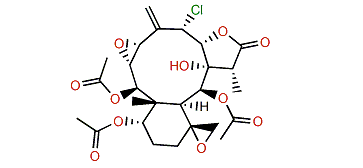 Fragilolide H